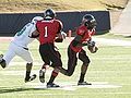 ArkansasState-stadiumpadding1.jpg
