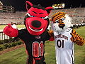 ArkansasState-mascot3.jpg
