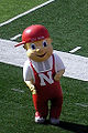 Nebraska-lilred.jpg